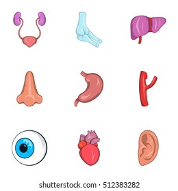 Structure of body icons set. Cartoon illustration of 9 structure of body vector icons for web