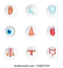 Structure of body icons set. Cartoon illustration of 9 structure of body vector icons for web