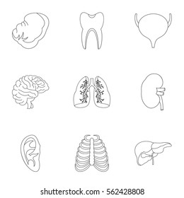 Structure of body icons set. Outline illustration of 9 structure of body vector icons for web