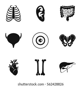 Structure of body icons set. Simple illustration of 9 structure of body vector icons for web