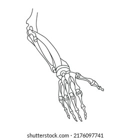 Die Struktur der Knochen der Hand. Handgelenk, Handgelenk, Schulter. Handbuch der Anatomie und Biologie. Vektorgrafik. Schwarz-Weiß-Diagramm.