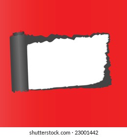 Structure of broken off paper. Vector illustration