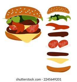 structure of burger vector illustration. set of ingredients for sandwich. delicious food