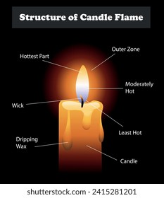 Structure of Candle Flame diagram. Science education vector 3d illustration