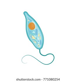 Structure of cell under microscope. Micro organism concept. Icon in flat style. Vector design for medicine infographic, poster or education website