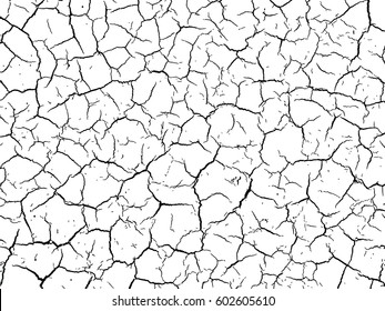 structure of the cracked earth a vector a background