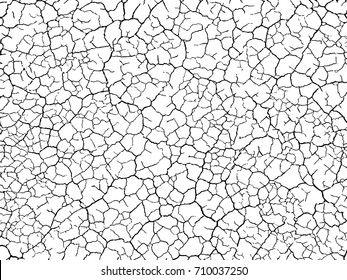 structure of the cracked earth a vector a background