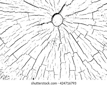 structure of cracks of wood