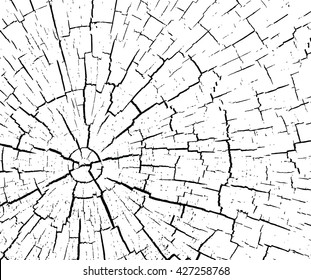  structure of cracks of wood  vector