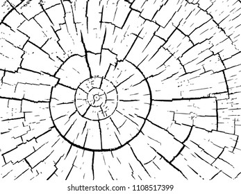  Structure of cracks of wood  vector background, Fragment of an old tree with a knot 
