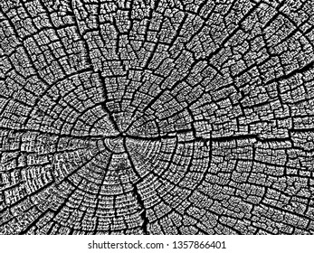  Structure of cracks of wood  vector background, Fragment of an old tree with a knot 