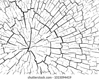  Structure of cracks of wood  vector background.illustration