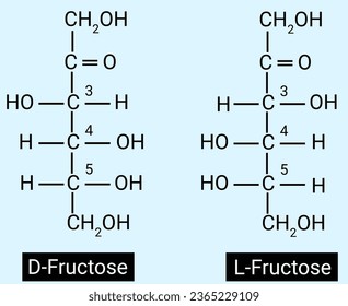 Struktur von D-Fructose und L-Fructose