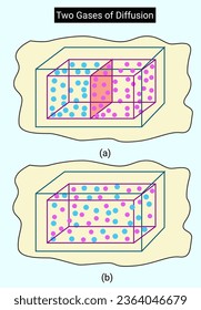 The structure of Diffusion of two gases