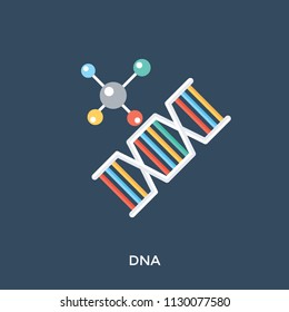 The structure of DNA, a double helix 