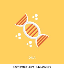 
The structure of DNA, a double helix 
