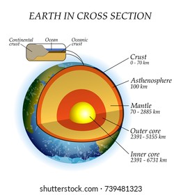 The Structure Of The Earth In A Cross Section, The Layers Of The Core, Mantle, Asthenosphere. Template Of Poster For Education, Vector Illustration.