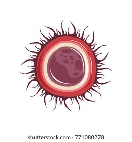 Structure of female egg ovum cell. Icon of human reproductive system. Biology and physiology concept. Flat vector design for infographic poster