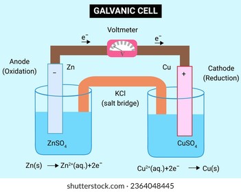 The structure of Galvanic Cell.