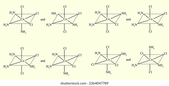 The structure of geometrical isomers.
