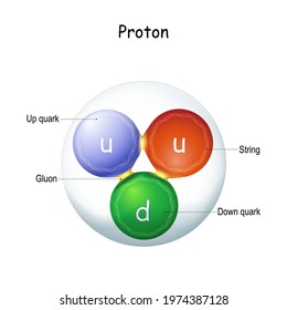 Structure of a gluon. elementary particle that "glue" quarks together, forming hadrons: protons and neutrons. gauge boson. nuclear physics. quantum field theory. Vector illustration for science use