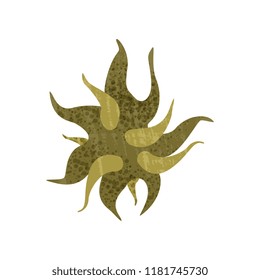 Structure of green bacteria under microscope. Science icon. Microbiology theme. Flat vector with texture