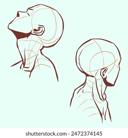 Structure of head vector for card, decoration, illustration