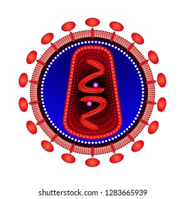 Structure of HIV / AIDS virus