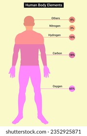 Structure of Human Body Elements 