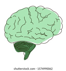 The Structure Of The Human Brain. Mental Health Of The Patient. Poster For A Medical Facility. Study Guide For The Doctor. Card For The Health Worker. The Science Of Psychology. Vector Illustration.