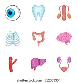 Structure of human icons set. Cartoon illustration of 9 structure of human vector icons for web