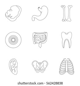 Structure of human icons set. Outline illustration of 9 structure of human vector icons for web
