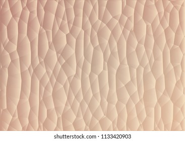 structure of human skin polygonal illustration