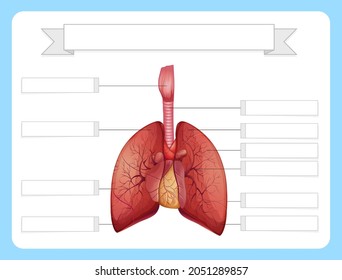 Estructura de la ilustración de la plantilla de la hoja de cálculo de pulmones