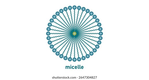 Structure of a Micelle in Chemistry.