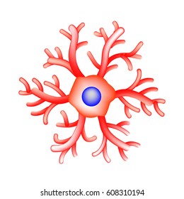 The structure of microglia. Neuron. Nerve cell. Infographics. Vector illustration on isolated background