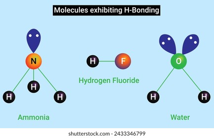 Estructura de las moléculas que exhiben la unión H.