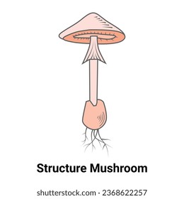 Structure Mushroom Vector Illustration Design
