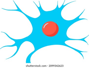 The structure of the neuron, the cell of the nervous system.