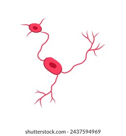 estructura neuronas dibujos animados. neuro humano, biología cuerpo, neurología red estructura neuronas signo. símbolo aislado ilustración vectorial