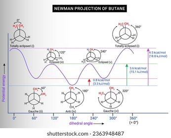 Die Struktur der Newman Projection of Butane