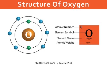 structure of oxygen atom , vector design