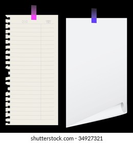 Structure of  paper. Vector illustration