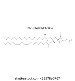 Structure of Phosphatidylcholine biomolecule, skeletal structure diagram on on white background. Scientific diagram vector illustration.