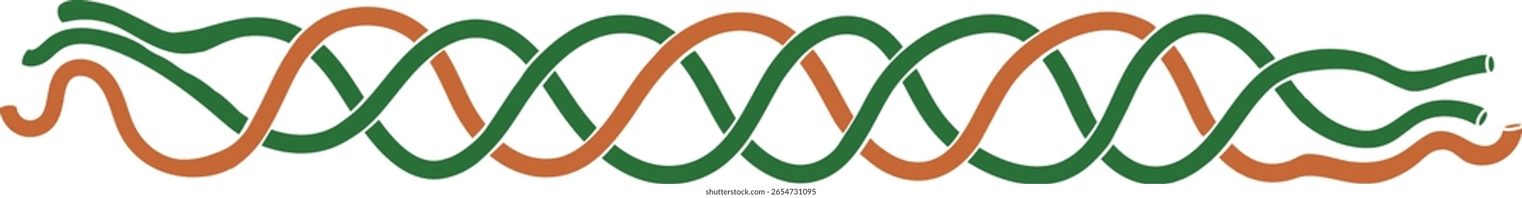Estructura del procolágeno para las lecciones de biología