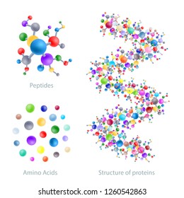 Structure of protein, peptides, amino acids, vector illustration