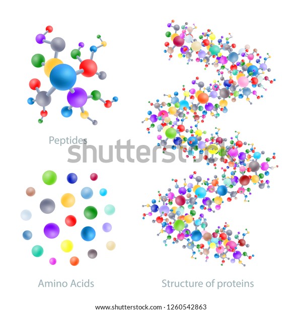 Structure of protein, peptides, amino acids,\
vector illustration