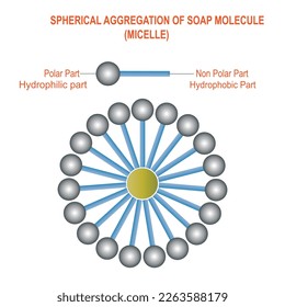  structure of soap water molecule, micelle, vector illustration