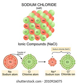 Structure Sodium Chloride Saltnacl Modelvector Illustrationchemistry ...