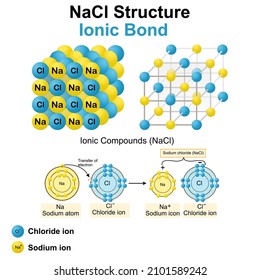 Structure of sodium chloride (salt).NaCl model.Vector illustration.Chemistry model of salt molecule.Ionic compounds,Ionic bond, education and symbols.crystals model.blue and yellow concept.